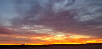 83923509 3868609719823654 2161502988189827072 o