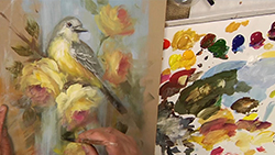 CC109 Western Kingbird