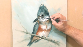 CC103 The Kingfisher