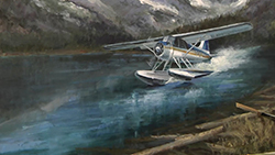 C801 Beaver Float Plane