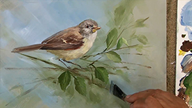 CC101 Painting the Vireo